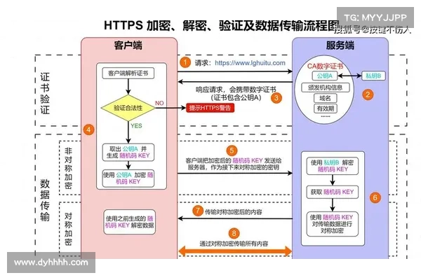 如何正确地研究一个加密项目？